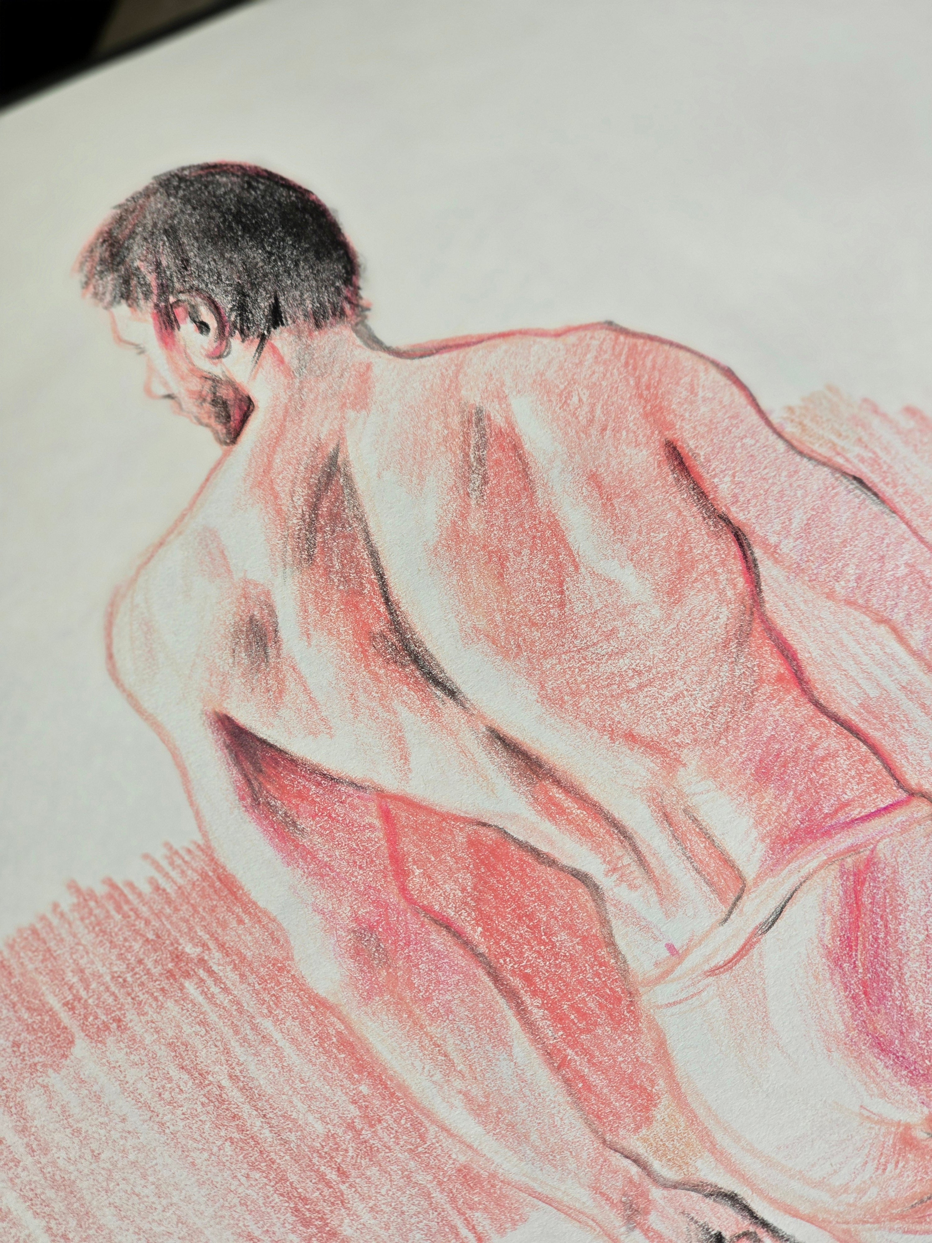 Colour Pencil on Paper
