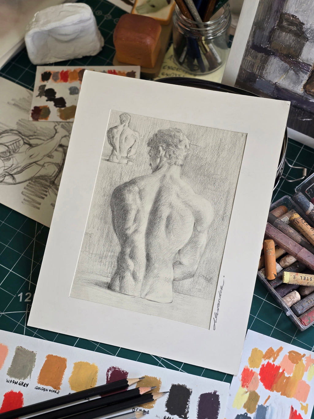 Study of Male Back