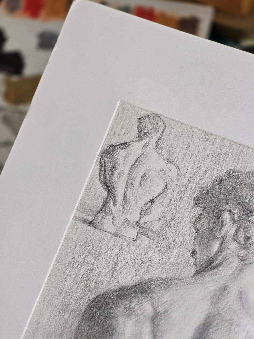 Study of Male Back