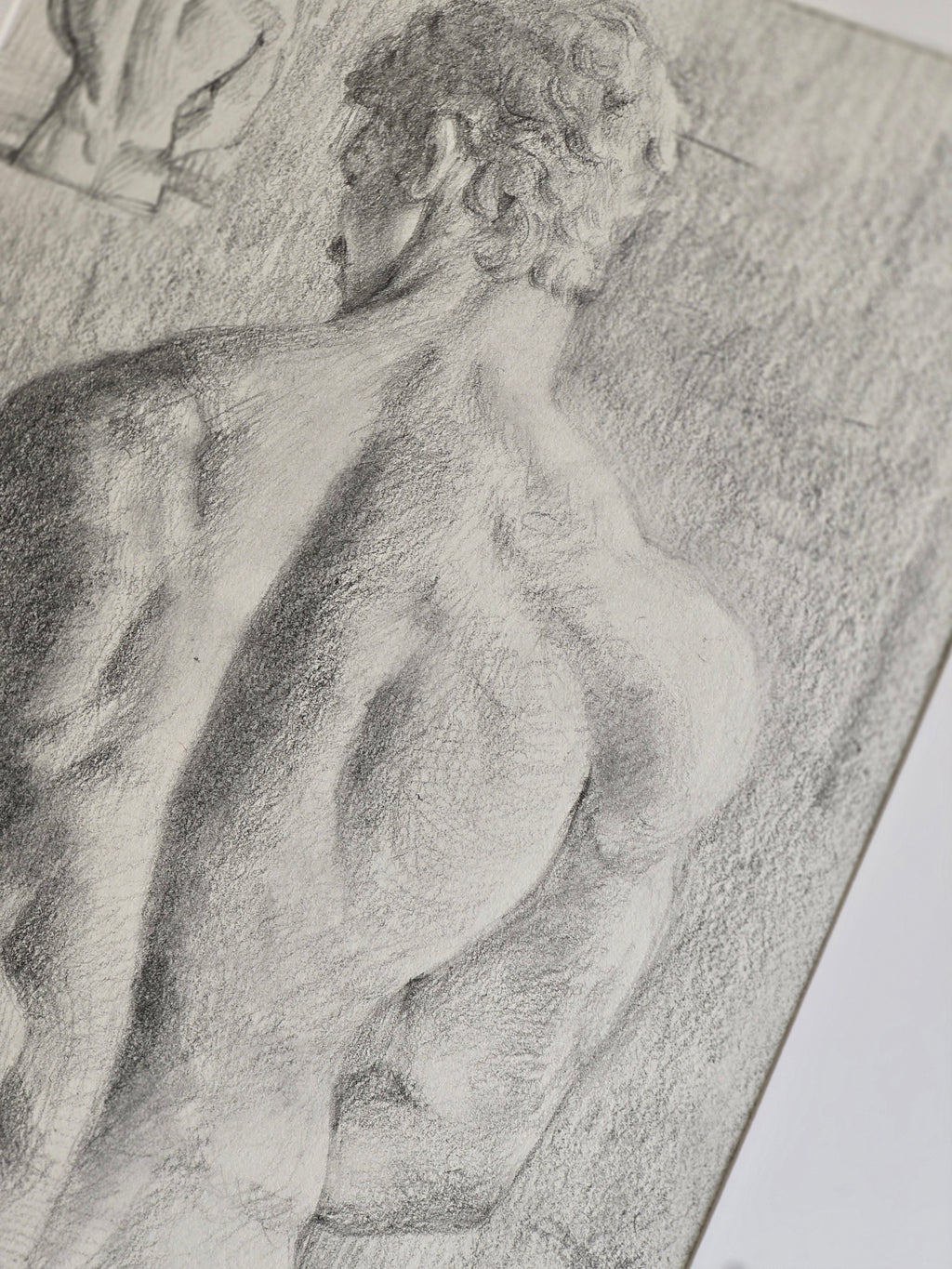 Study of Male Back