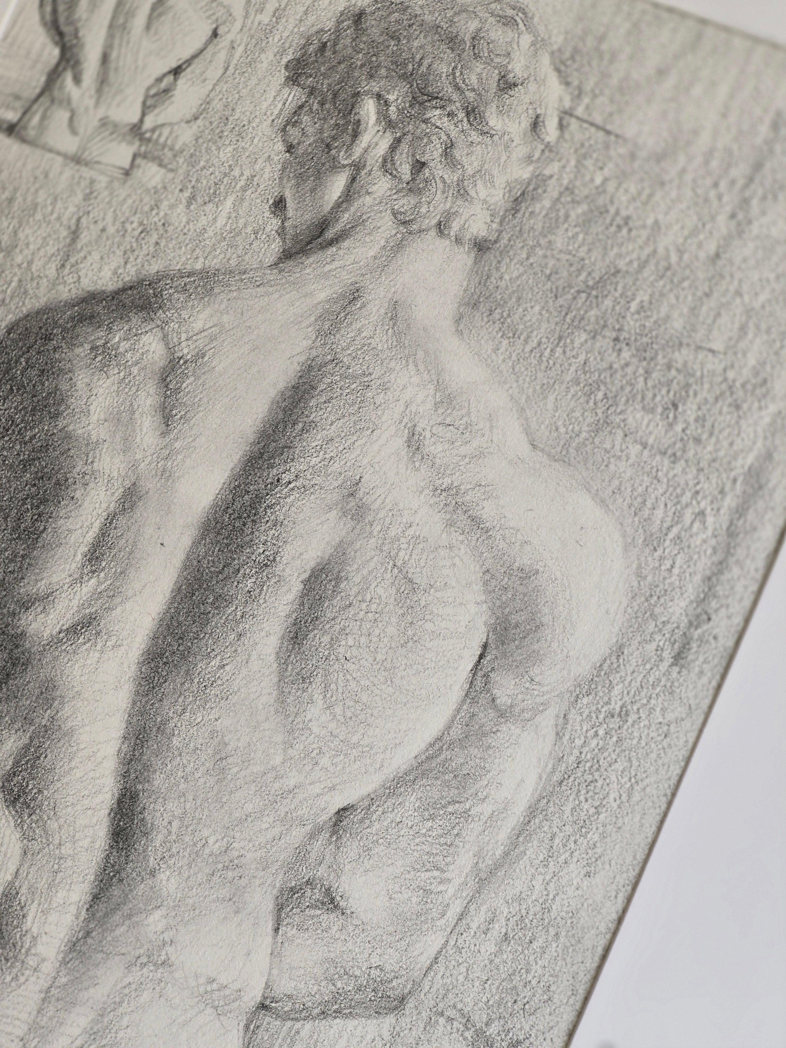 Study of Male Back
